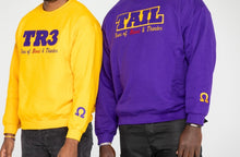 Load image into Gallery viewer, *PRE ORDER REOPENS 11.1 through 11.10* SOBAT Omega Number Chenille Crewneck (SEE POLICY)