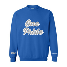 Load image into Gallery viewer, One Pride Chenille Crewneck