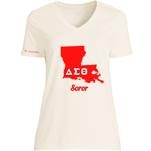Load image into Gallery viewer, Southwest State T-Shirts
