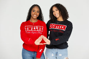 *PRE ORDER ONLY* Numba DST Fortitude Chenille Crewnecks