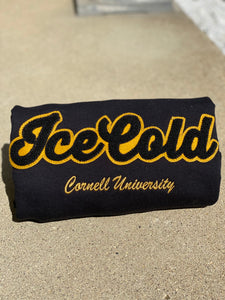 Ice Cold Chenille Alpha Cornell University Crewneck