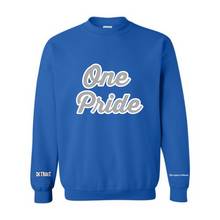 Load image into Gallery viewer, One Pride Chenille Crewnecks (see disclaimer below &amp; use code ONEPRIDE)
